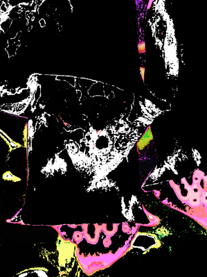 Abstract Neon Coloured Foxgloves